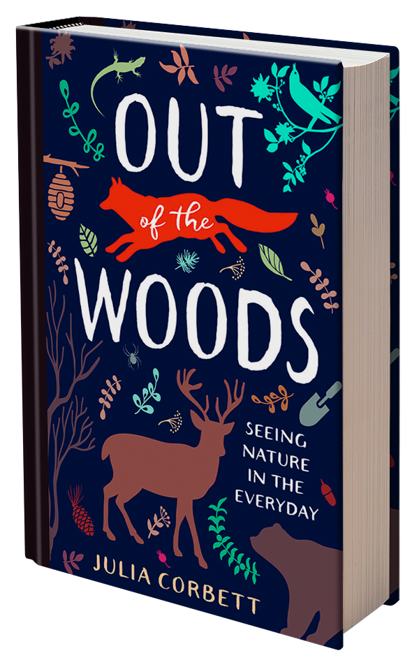 Out of the Woods by Julia Corbett